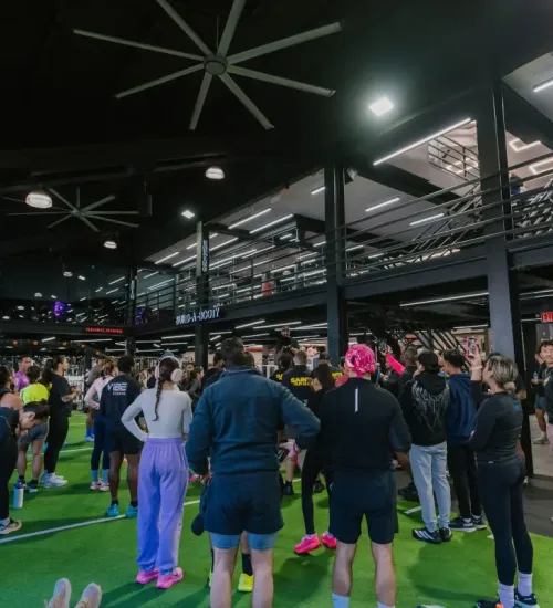 Vibe BQE gym