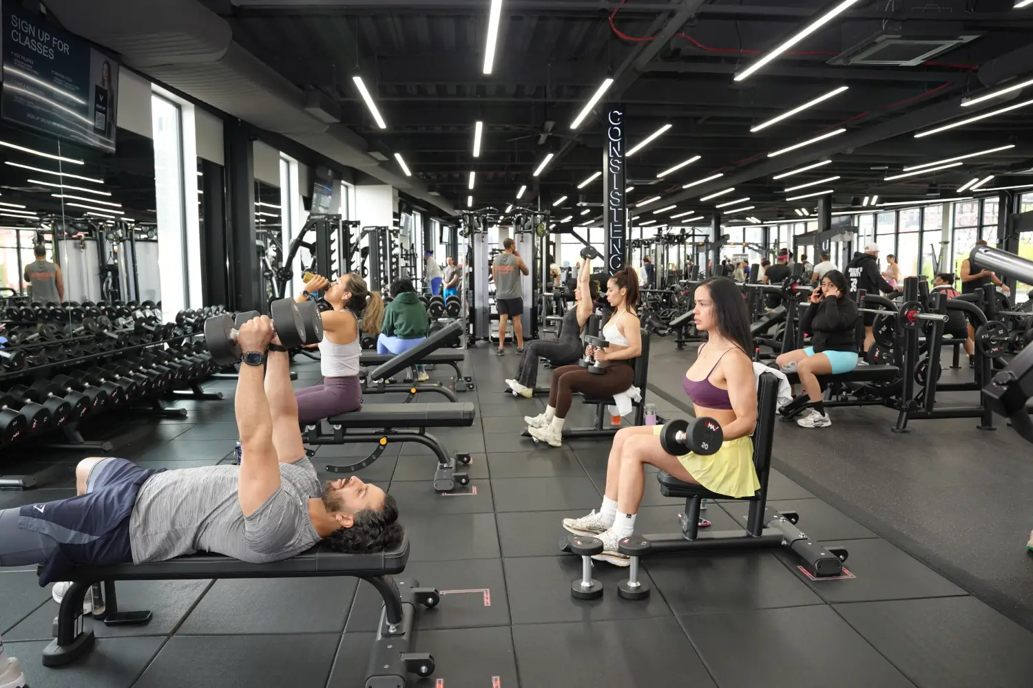 Lift Weights