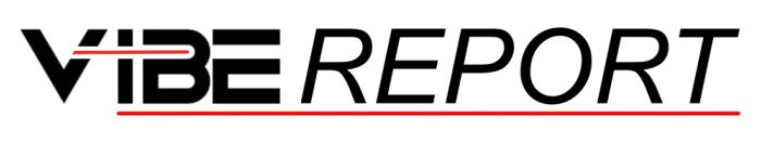 Vibe Report logo
